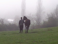 Merci de votre visite A bientôt